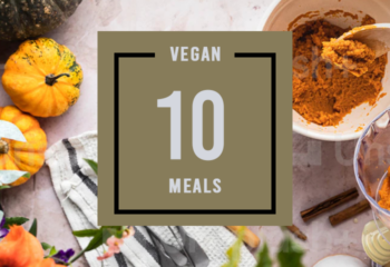 Vegan 10 Meal Pack