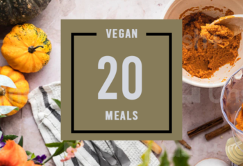 Vegan 20 Meal Pack